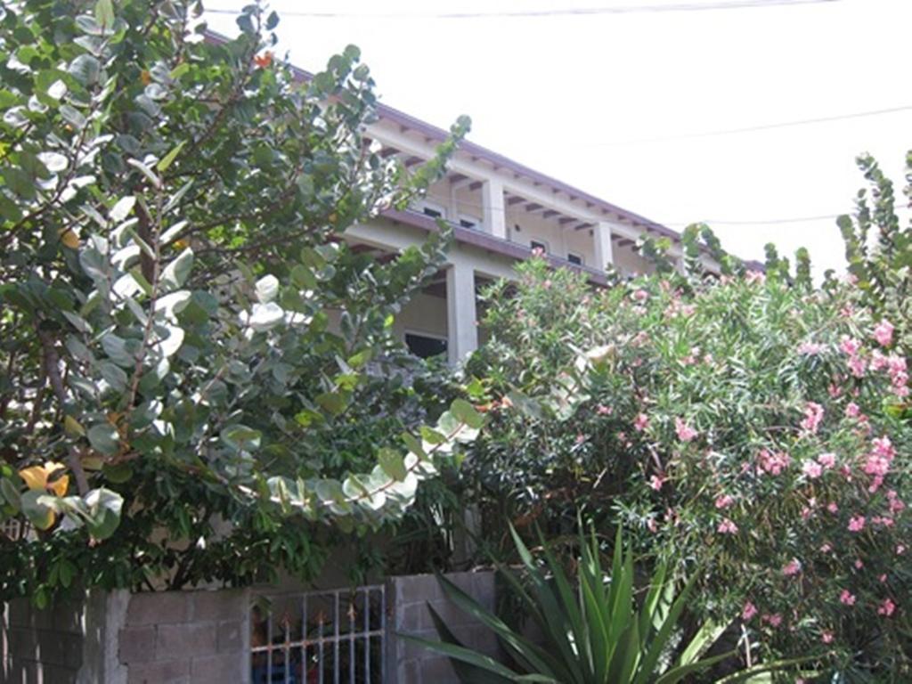 Culture House Hotel Basseterre Exterior photo